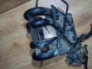 Ansaugkrümmer Renault Kangoo, 1997.09 - 2003.04 7700871559,7700874503 7700873537