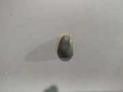 Waschwasserd?se Scheibenreinigung Nissan Almera Tino 2000.08 - 2003.09 Gebraucht,