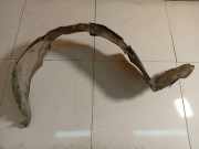 Radhausschale - Vorne Rechts Mazda Premacy, 1999.01 - 2005.03 Gebraucht ,