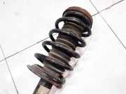 Fahrwerksfeder vorne BMW X5, E53 facelift 2004 - 2006 Gebraucht,