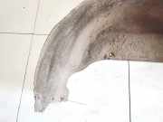 Radhausschale - Hinten Linke Citroen C5, II 2008.02 - 2011.01 Gebraucht ,