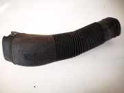 Schlauch für Luftversorgung Seat Ibiza, III 2002.02 - 2009.11 6q0129618g,