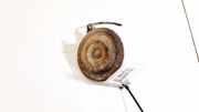Hupe Volkswagen Golf, III 1993.07 - 1999.04 Gebraucht, AFT