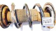 Fahrwerksfeder vorne Fiat Ducato, 2006.07 - 2014 Gebraucht,