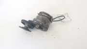 Spannrolle Renault Grand Scenic, I 2003.01 - 2009.12 905328,628010-1
