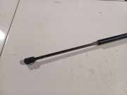 Gasfeder für Motorhaube Fiat Stilo, 2001.10 - 2007.01 23901, 239 01 46784995 U 46784995U