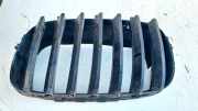Kühlergrill Frontgrill Kühlergitter BMW X5, E70 2006.10 - 2010 51317157687,