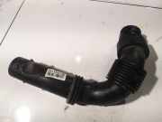 Schlauch für Luftversorgung Citroen C3, II 2009.11 --> present 9684813580,9684813580