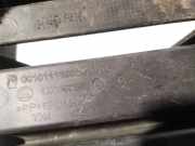 K?hlergrill - Vorne Rechts Skoda Octavia, II 2004.02 - 2009.03 1z0853666,00101113936200100