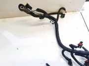 Kabelbaum Mitsubishi Carisma, II 2000.09 - 2006.06 a047, 42121200