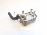 Kraftstoffkühler Kraftstoff Kühler Audi Q7, 2006.03 - 2010.05 7l6203491d, 48011