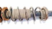 Fahrwerksfeder vorne Daihatsu Sirion, 2005.01 - 2011.12 Gebraucht,