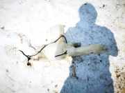 Scheibenwaschbehälter Vorne Wischwasserbehälter Nissan Murano, Z50 2003.08 - 2008.06 e13010130, e13-010130