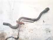 Tankeinfüllstutzen Tankrohr Kraftstoffrohr Lexus IS, II 2005.10 - 2013.03 Gebraucht,