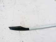 Dachreling Rechts Citroen C-Crosser, I 2007.01 - 2012.12 Gebraucht,