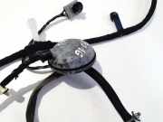 Kabelbaum Nissan Qashqai, I 2006.01 - 2010.06 24125jd05d,