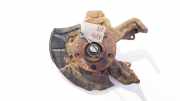 Radnabe Achsschenkel - Vorne Rechts Seat Toledo, 1999.04 - 2006.05 Gebraucht,