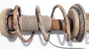 Fahrwerksfeder Hinterachse Alfa-Romeo 147, I 2000.11 - 2004.09 Gebraucht,