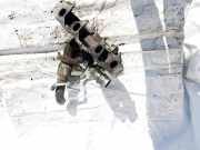 Turbolader Volvo V40, I 1995.07 - 2000.07 35030022,3-50300-2-2