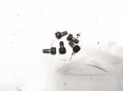 Schraube Druckplatte Fiat Ducato, 1994.03 - 2002.04 Gebraucht,