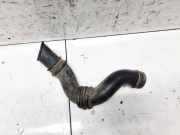 Schlauch für Luftversorgung Fiat Punto, 1993.09 - 1999.09 7754736,