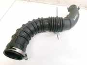 Schlauch für Luftversorgung Renault Megane, II 2002.11 - 2006.06 8200500384A,