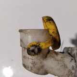 Verschluss Waschwasserbehälter Renault Scenic, I 1996.01 - 1999.09 7701683508,