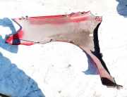 Kotflügel - Vorne Rechts Toyota Corolla, 2001.11 - 2004.02 Raudona,