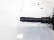 Zündspule Rover 75, 1999.02 - 2005.05 nec101010, 11894