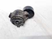 Spannrolle Citroen Berlingo, I 2002.11 - 2008.04 facelift Gebraucht,