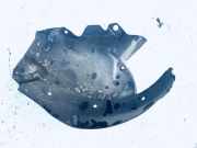 Radhausschale - Vorne Linke Renault Scenic, II 2003.06 - 2006.06 8200136725,