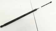 Gasfeder für Motorhaube Volkswagen Caddy, III 2004.03 - 2010.09 Gebraucht , BDJ