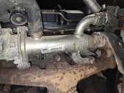 Abgaskühler AGR-Kühler Peugeot 307, 2005.06 - 2008.06 9645689780, 875516w