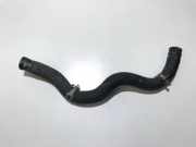 Kühlerschlauch Toyota Prius, 2003.06 - 2009.01 Gebraucht,