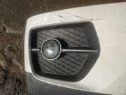 Kühlergrill - Vorne Rechts BMW X6, E71E72 2008.01 - 2014.06 Gebraucht,