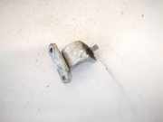 Lang Heckklappe Scharniere Scharnier - Hinten Rechts Volkswagen Golf, IV 1997.08 - 2003.10 Gebraucht, AKL