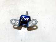 T?rscharnier Vorne Toyota RAV-4, II 2000.09 - 2005.11 Gebraucht,