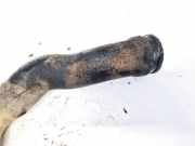 Intercooler Schlauch Audi 80, B4 1991.09 - 1995.01 Gebraucht,