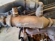 Abgaskühler AGR-Kühler Peugeot 807, 2002.06 - 2012.05 9640843480,