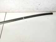 Zierleiste Leiste - Vorne Linke Volkswagen Phaeton, 2002.04 - 2006 Gebraucht, BMK