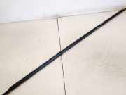 Zierleiste Leiste - Hinten Linke Mazda 6, 2002.06 - 2007.08 Gebraucht,
