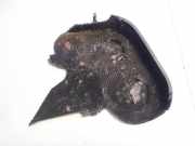 Zahnriemenschutz Abdeckung Audi A6, C6 2005.01 - 2008.10 03G109107C,