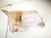 Ausgleichsbehälter Ford Fiesta, IV 2000.06 - 2002.06 facelift ys618k218ea, ys61-8k218-ea