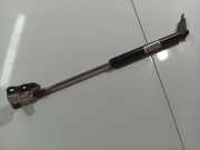 Gasdruckfeder Kofferraum Toyota Avensis Verso, 2001.08 - 2009.11 6896044080, 68960-44080