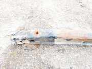 Sto?stangentr?ger hinten Citroen C4, I 2008.06 - 2010.01 facelift Gebraucht,