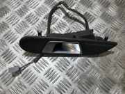 Türinnengriff - Vorne Linke Ford Fiesta, VI 2012.10 - 2017.12 facelift c1bba22601daw,c1bb-a22601-daw