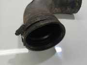 Schlauch für Luftversorgung Iveco Daily, 2006.01 - 2011.06 504135453, 504135453