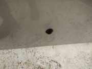 Waschwasserd?se Scheibenreinigung Renault Megane, I 1995.11 - 1999.02 Gebraucht,