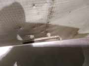 Lang Heckklappe Scharniere Scharnier - Hinten Rechts Subaru Outback, IV 2009.06 - 2014.12 Gebraucht,