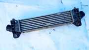 Ladeluftkühler Ford Mondeo, 2000.11 - 2007.03 1S7Q9L440AF,1S7Q-9L440AF